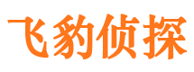 新罗市侦探公司